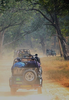 Corbett tour packages